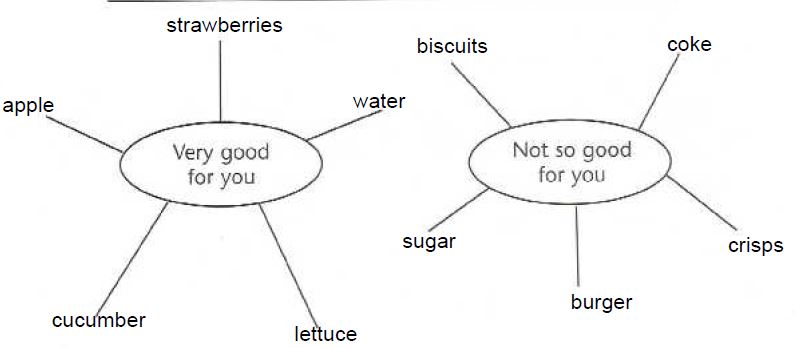 the diagram